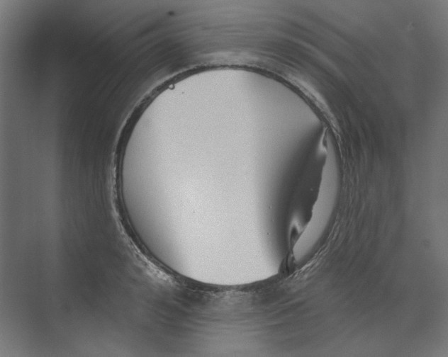 X0000073830992200609071510