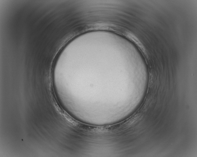 X0000073830994200609071510