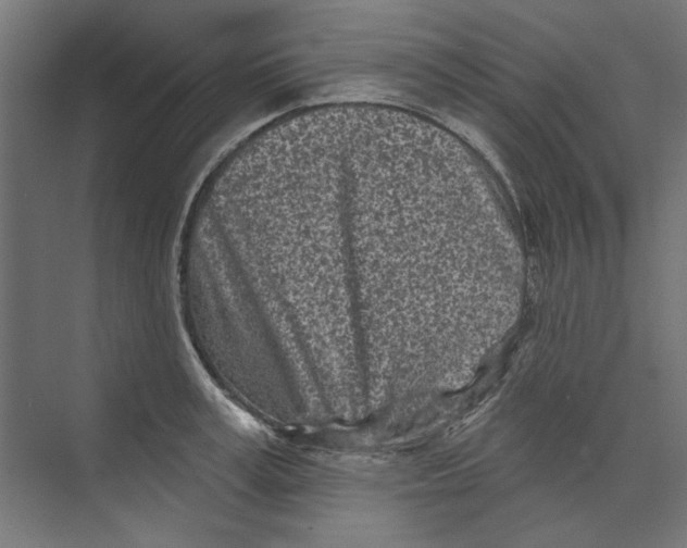 X0000073830995200609071510