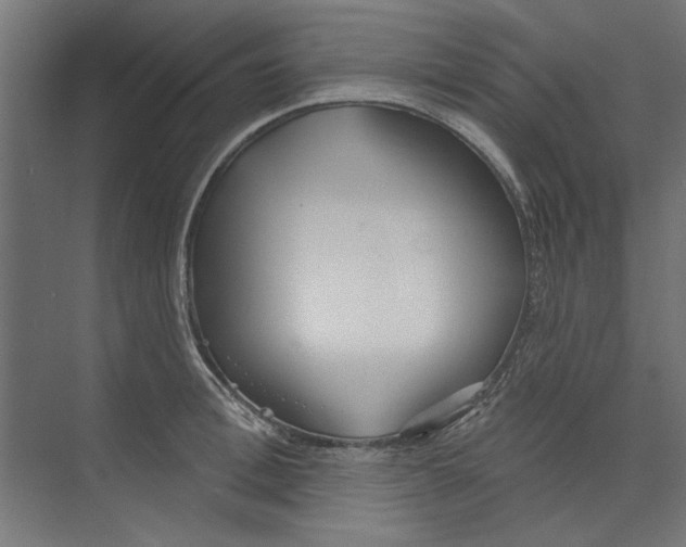 X0000073830996200609071510