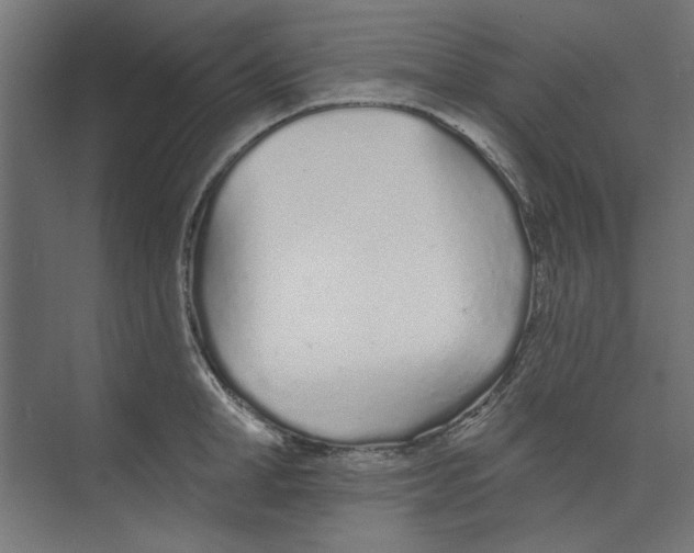 X0000073830998200609071510