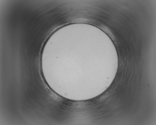 X0000073831000200609071510