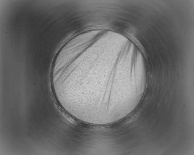 X0000073831002200609071510