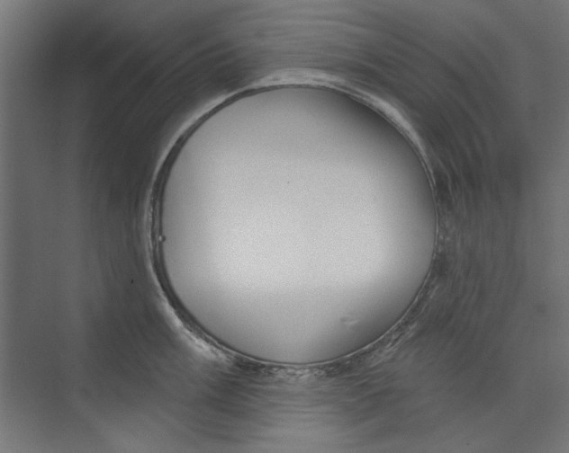 X0000073831003200609071510