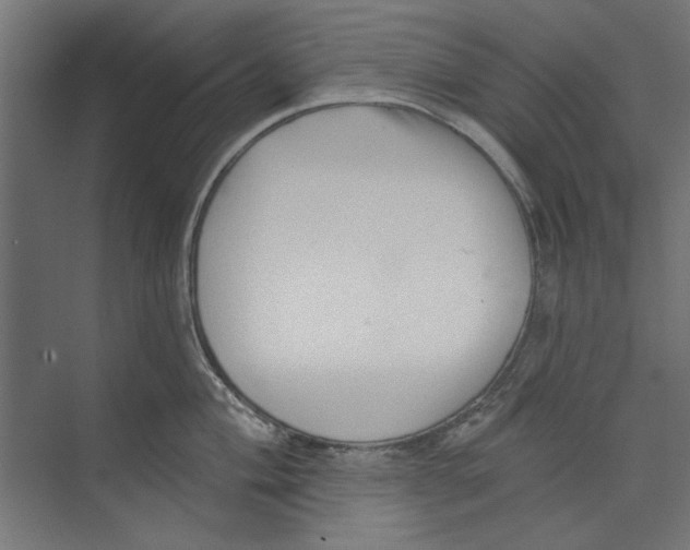 X0000073831004200609071510