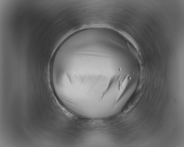 X0000073831006200609071510