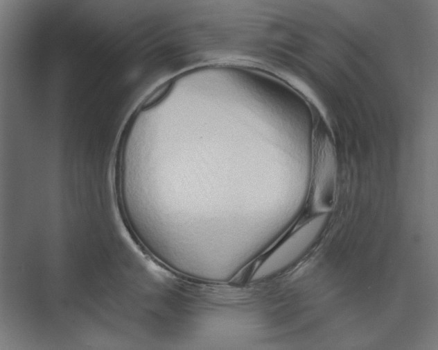 X0000073831007200609071510