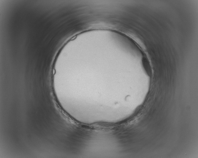 X0000073831008200609071510