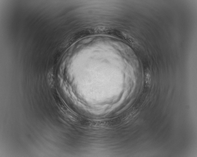 X0000073831011200609071509