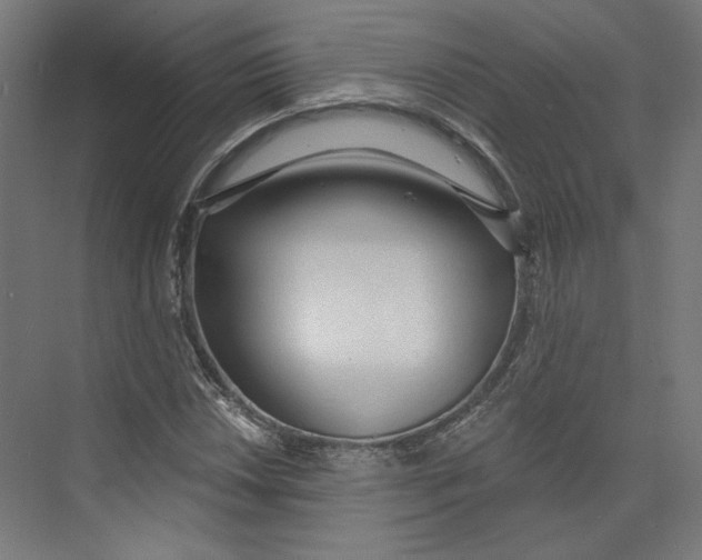 X0000073831018200609071509