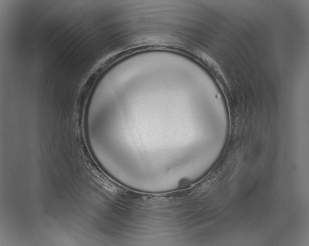 X0000073831019200609071509