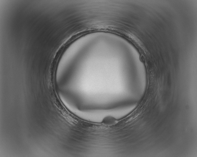 X0000073831023200609071509