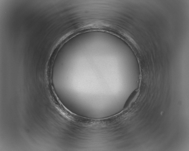 X0000073831026200609071509