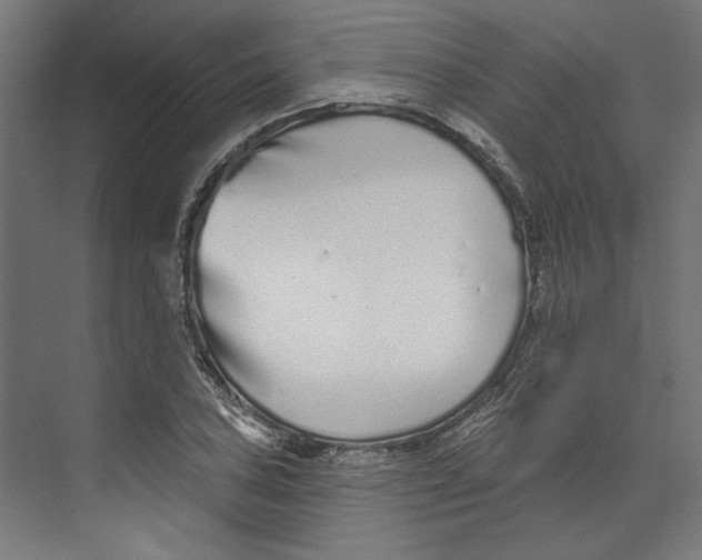 X0000073831027200609071509