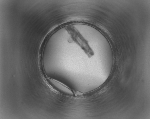 X0000073831029200609071509