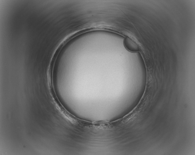 X0000073831032200609071509