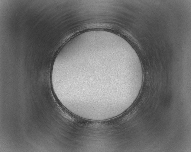 X0000073831033200609071509