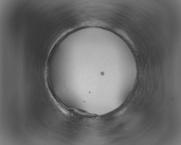 X0000073831040200609071510