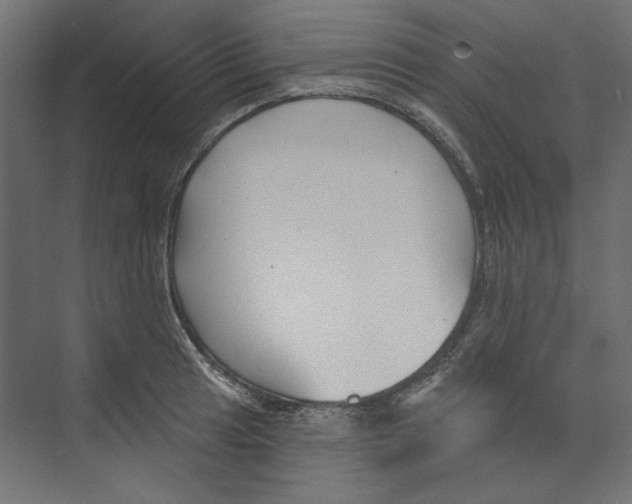 X0000073831041200609071510