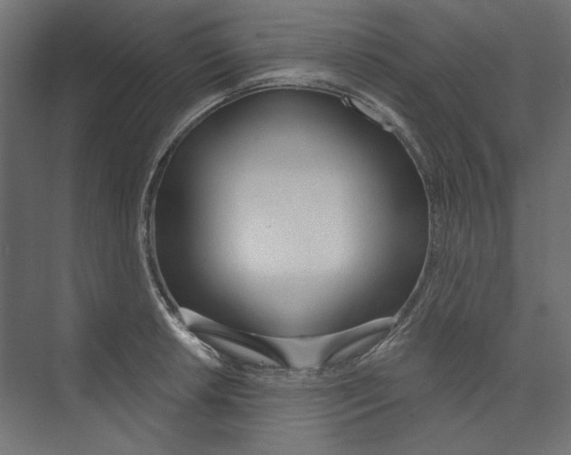 X0000073831042200609071510