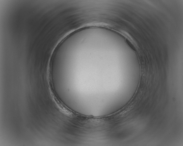 X0000073831044200609071510