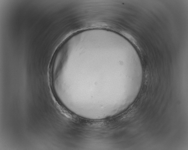 X0000073831047200609071510