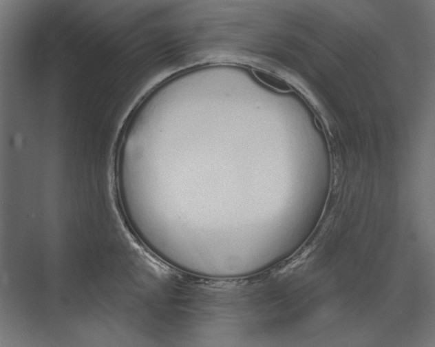 X0000073831048200609071510