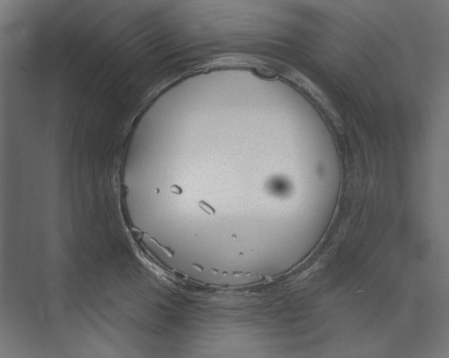 X0000073831049200609071510