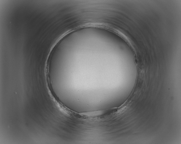 X0000073831050200609071510