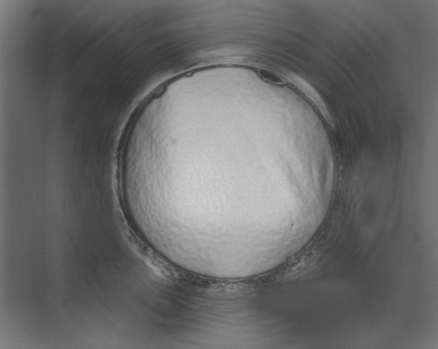 X0000073831051200609071510