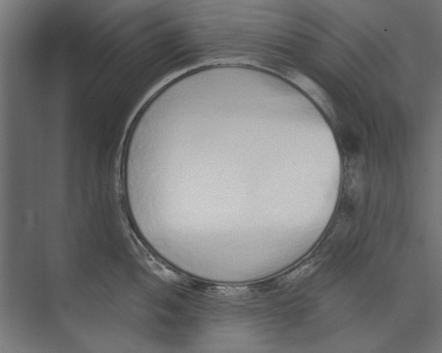 X0000073831052200609071510