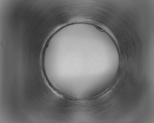 X0000073831053200609071510