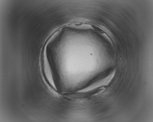 X0000073831055200609071510