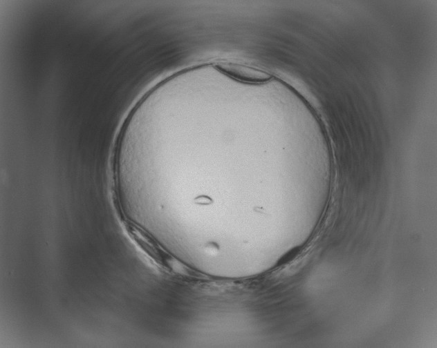 X0000073831056200609071510