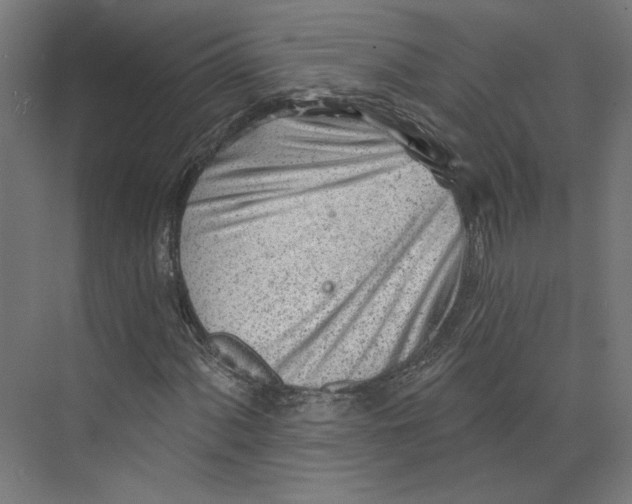 X0000073831060200609071509