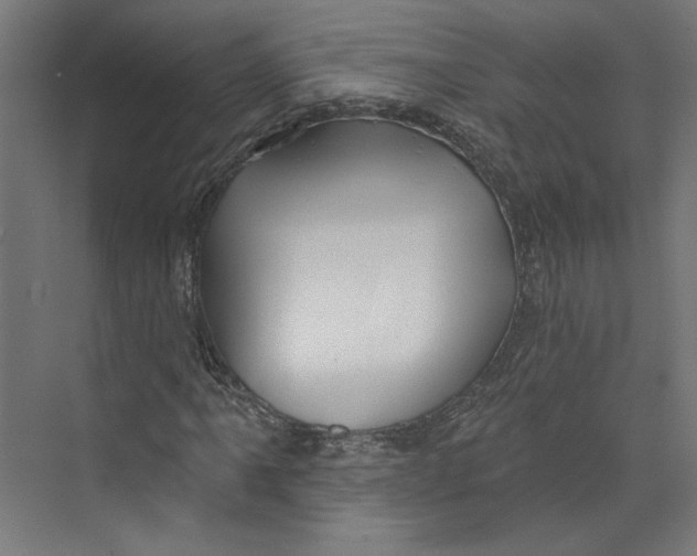 X0000073831061200609071509