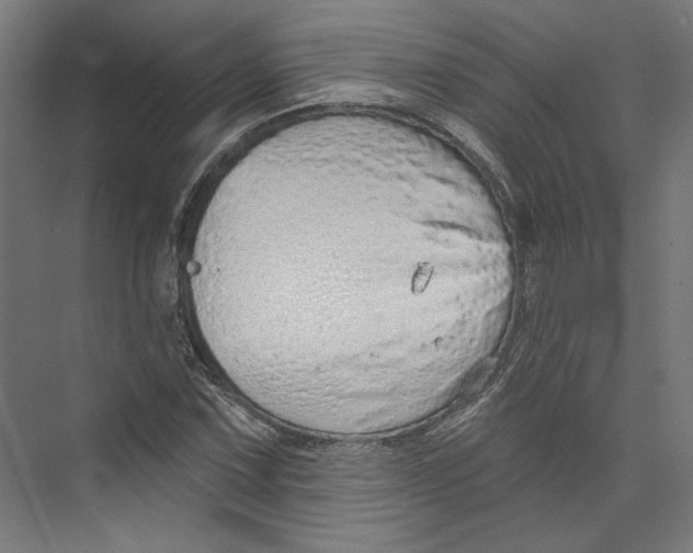 X0000073831067200609071509