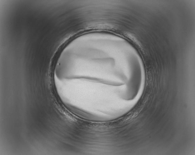 X0000073831071200609071509