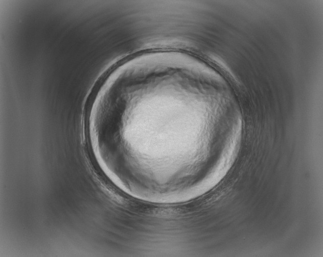 X0000073831079200609071509