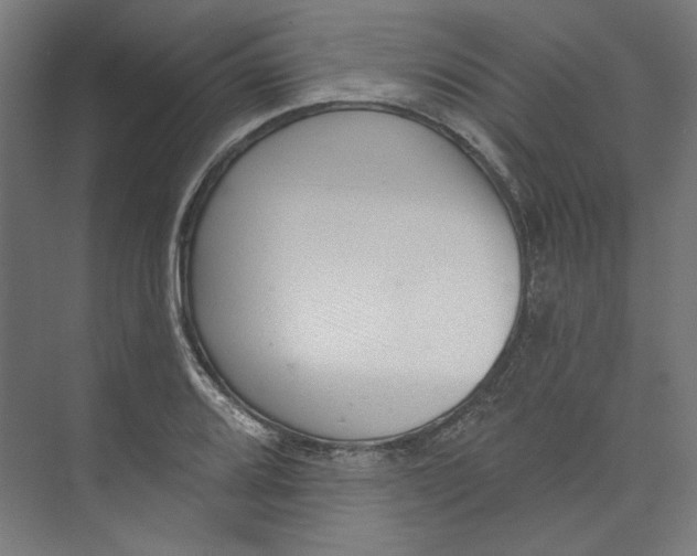 X0000073831080200609071509