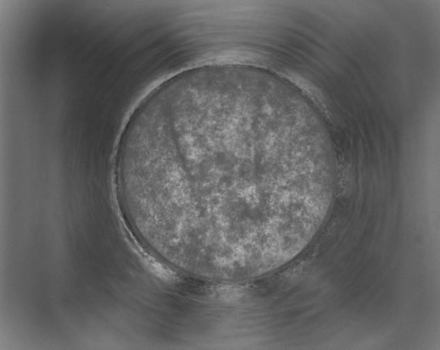 X0000073831086200609071508