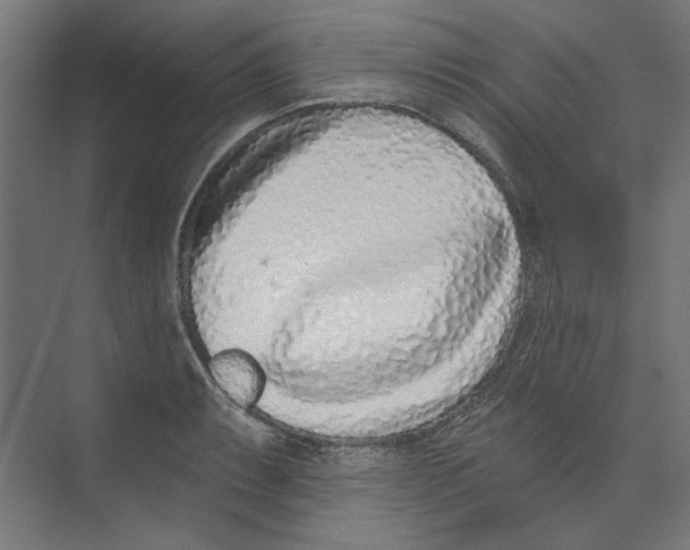 X0000073831087200609071508