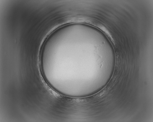 X0000073831088200609071508