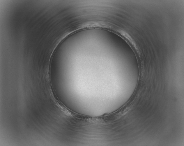 X0000073831089200609071508