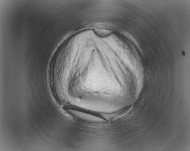 X0000073831091200609071508