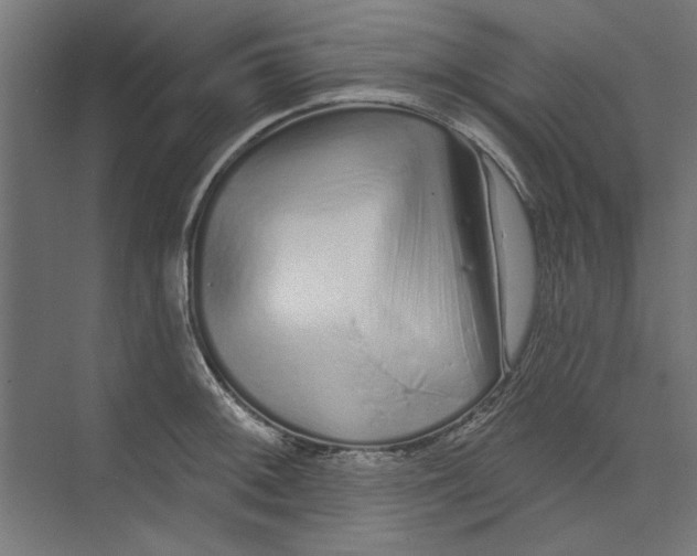 X0000073831092200609071508