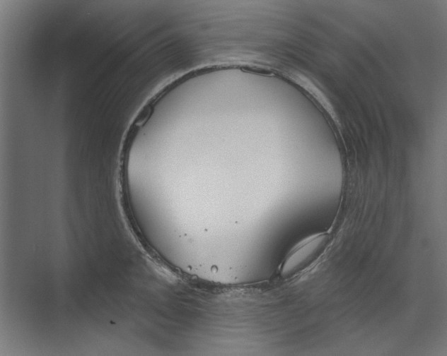 X0000073831093200609071508