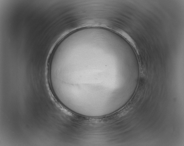 X0000073831096200609071508