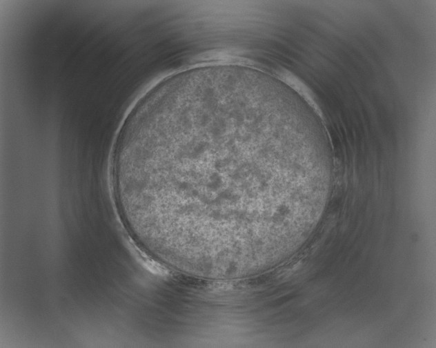 X0000073831098200609071508