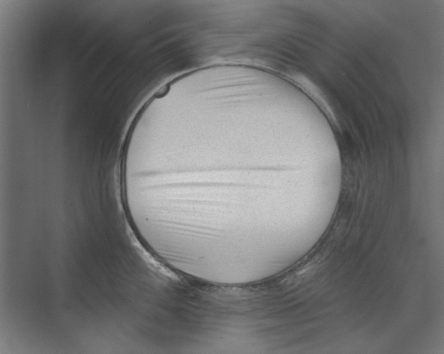 X0000073831100200609071508